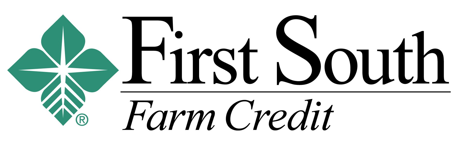 Firstsouthlogo