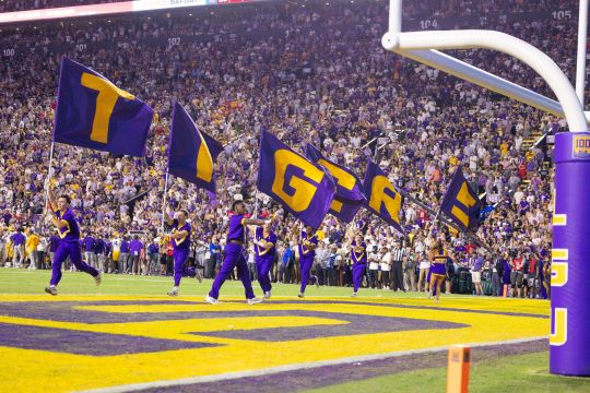 Lsu Flags