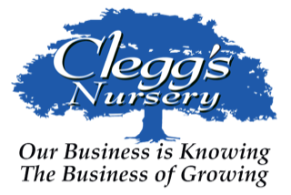 Cleggs Logo Catch Phrase Blue Converted Enlarged